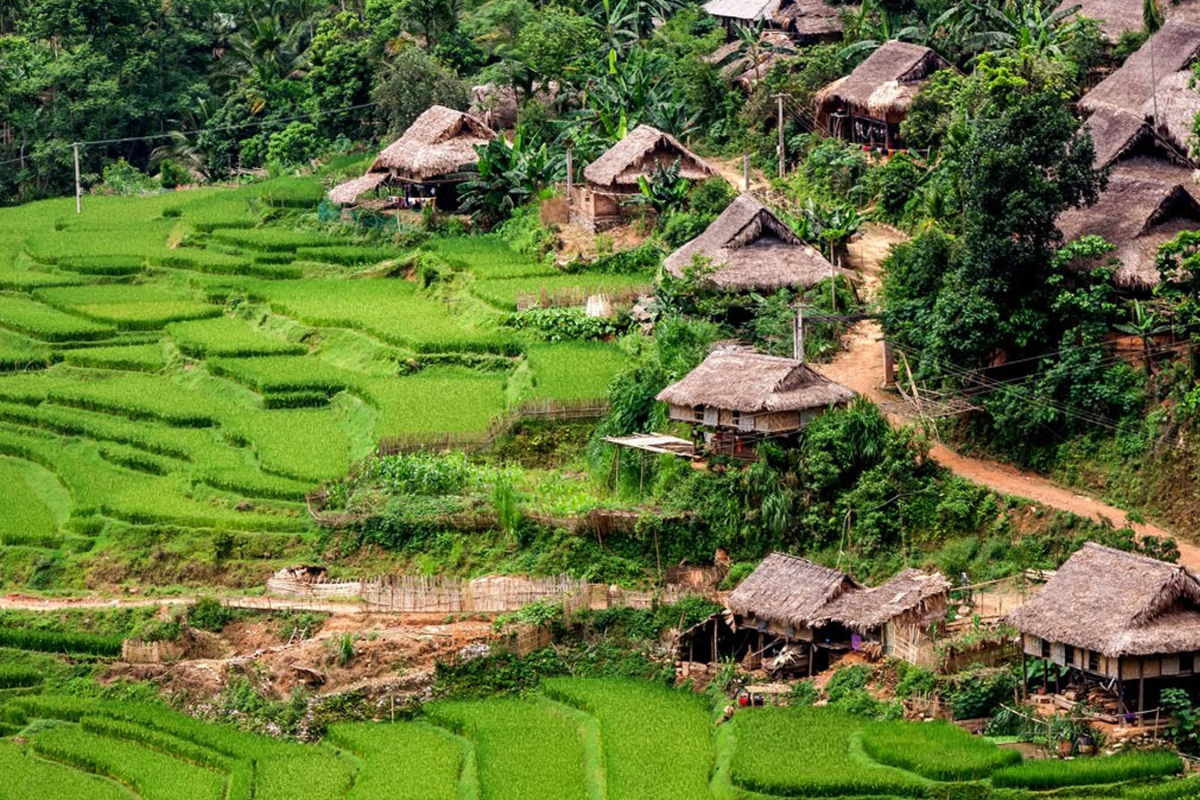Traditional wooden stilt houses of the White Thai ethnic group in Kho Muong Village